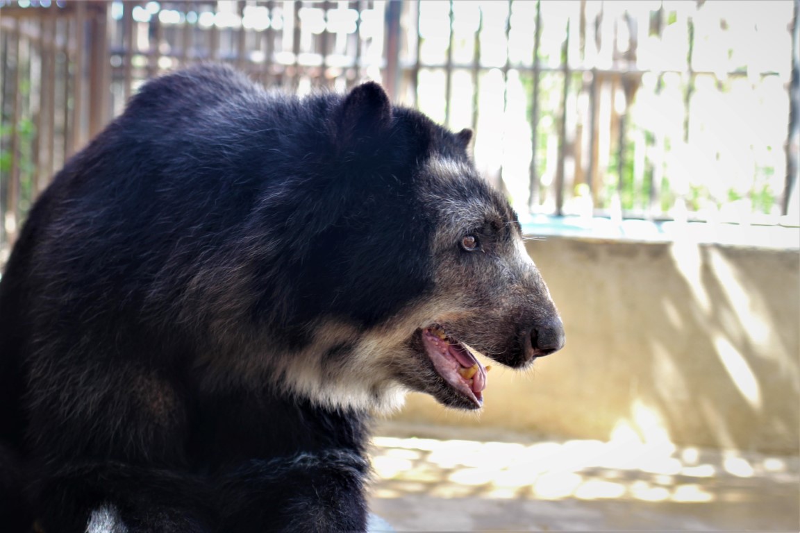 VIT destinó alimentos para las especies en peligro de extinción del Zoológico de Paraguaná