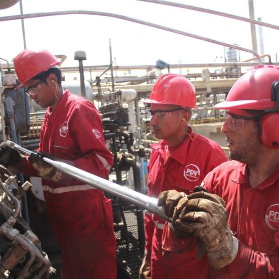 Trabajadores de VIT participan en Batalla Productiva en aras de fortalecer la producción nacional
